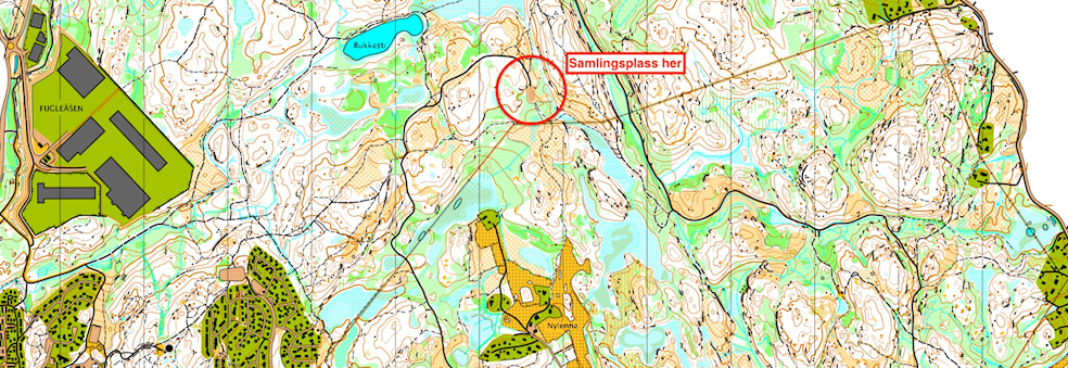 Trening - Snu/lunneplassen ved Bukkestitjern